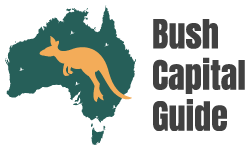 Bush Capital Guide