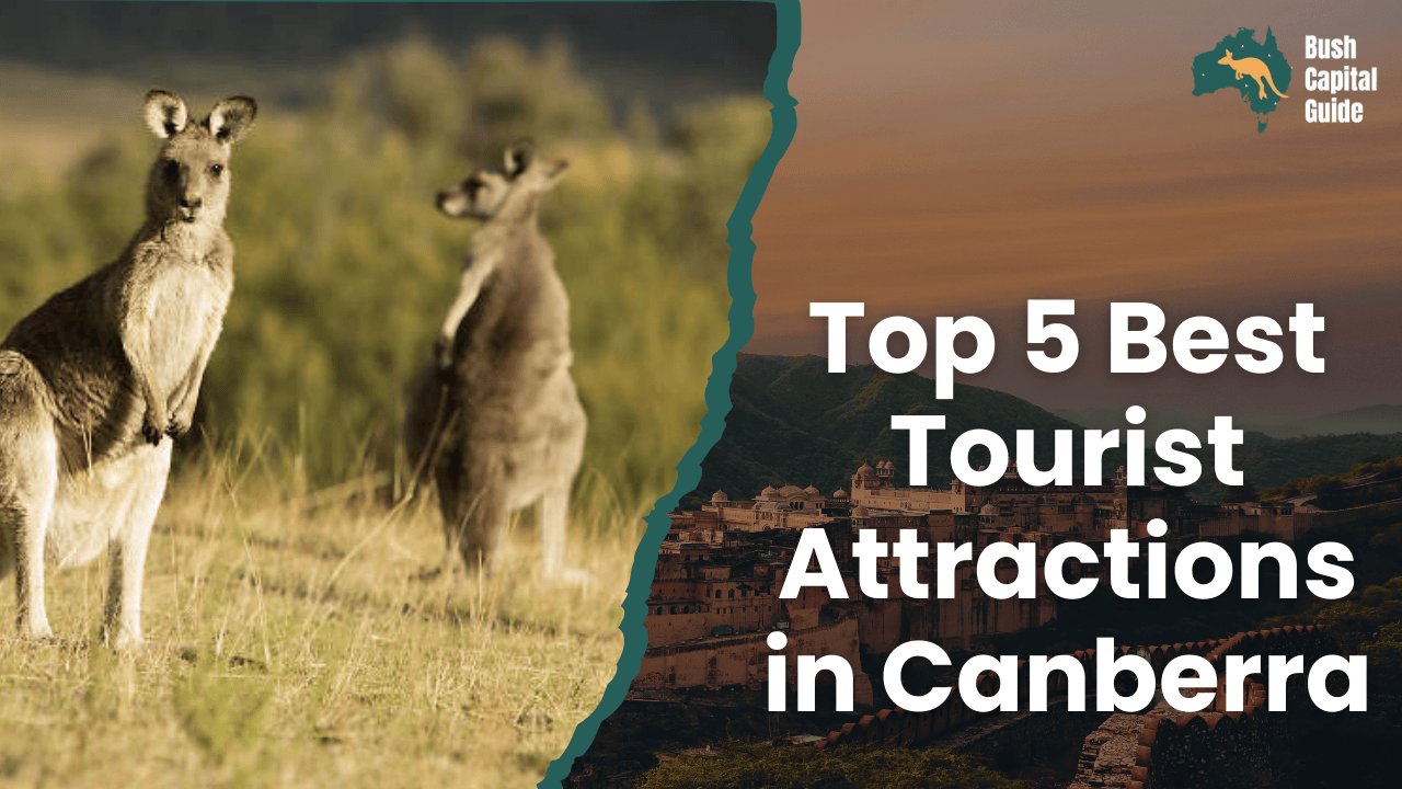 Top 5 Best Tourist Attractions in Canberra